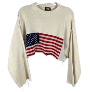 Cropped American Flag Vintage Sweater